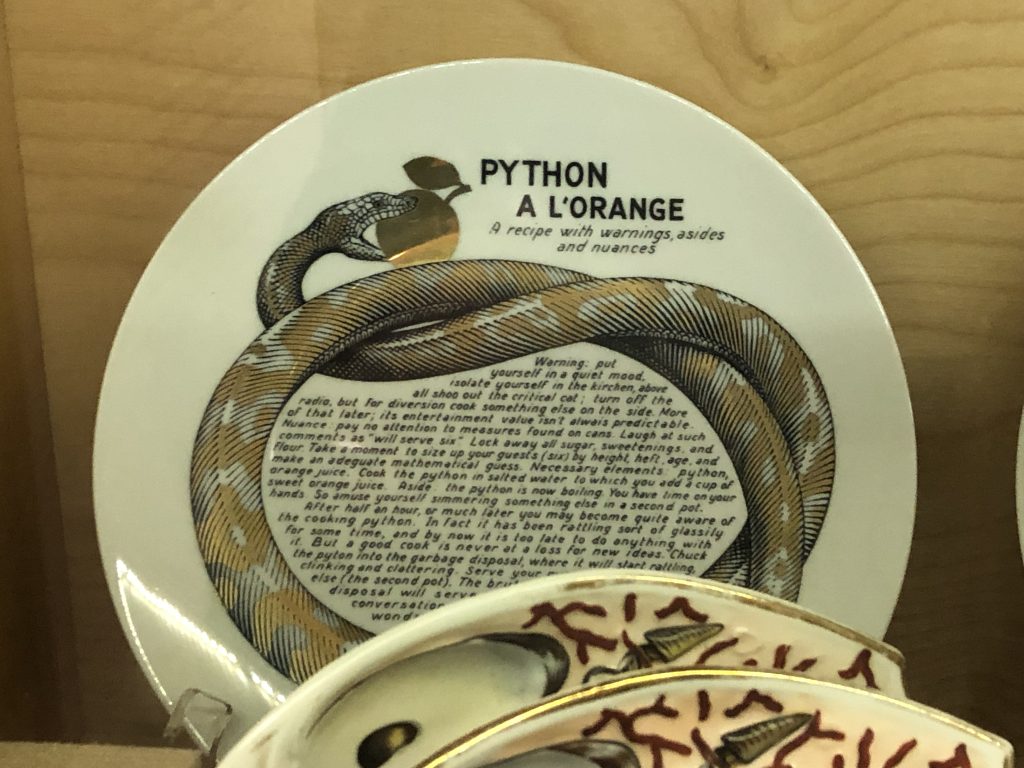 Andy Warhol Museum Python